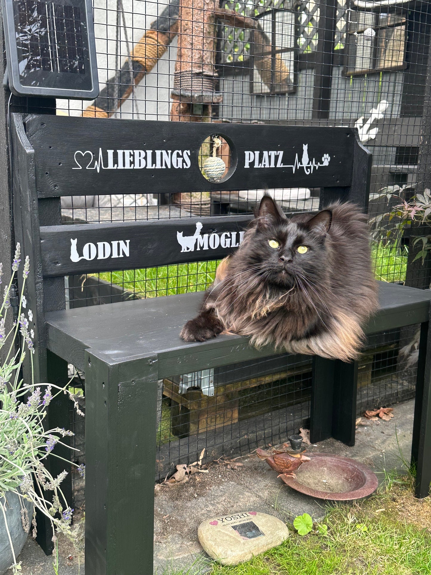HamburgerHolzjung Katzenbank Dekobank Palettenbank Gartenbank Holzbank Blumenbank Kinderbank Gerüstbohlen Ankerplatz Kratzbaum Kratzmatte