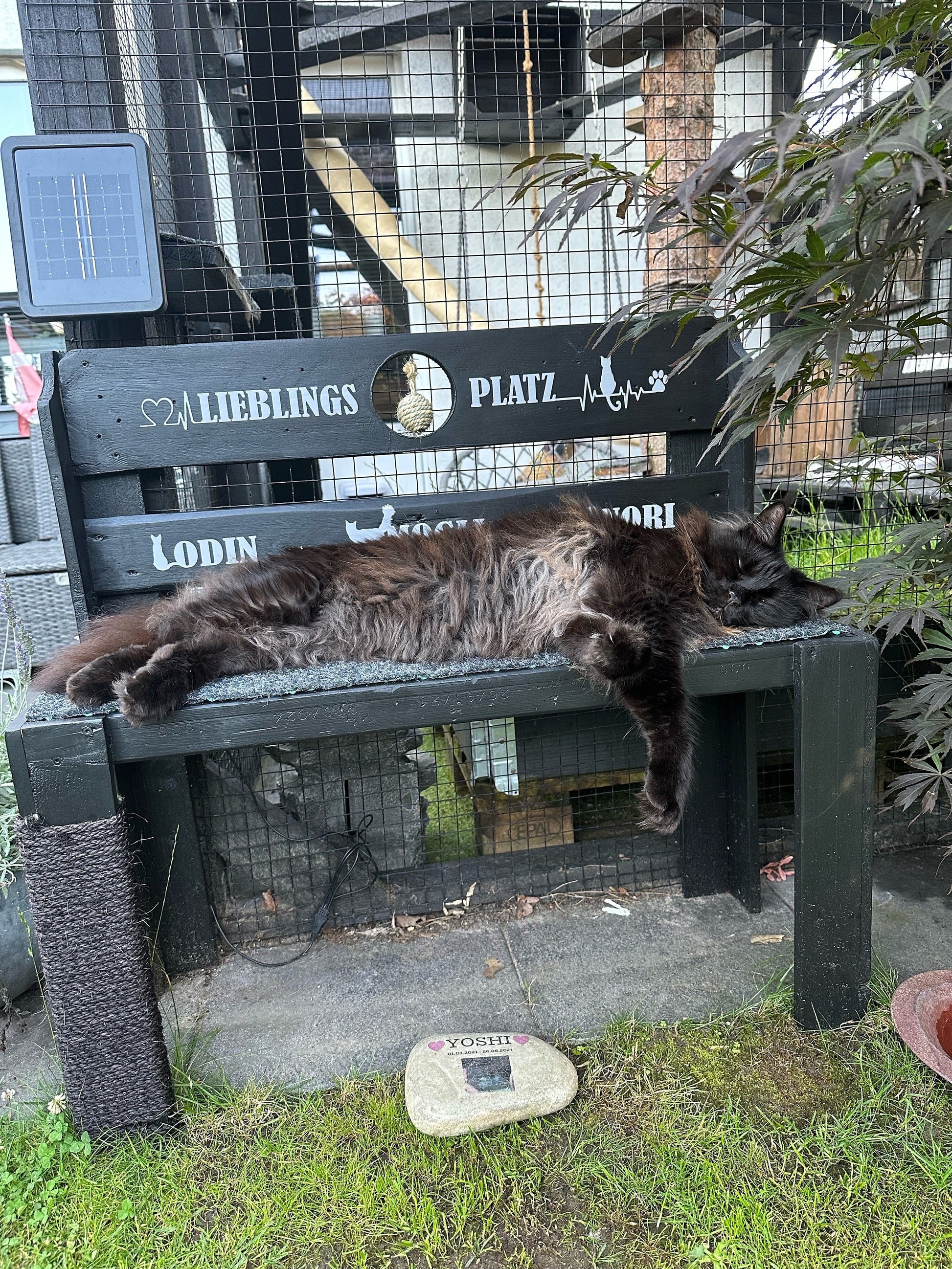 HamburgerHolzjung Katzenbank Dekobank Palettenbank Gartenbank Holzbank Blumenbank Kinderbank Gerüstbohlen Ankerplatz Kratzbaum Kratzmatte